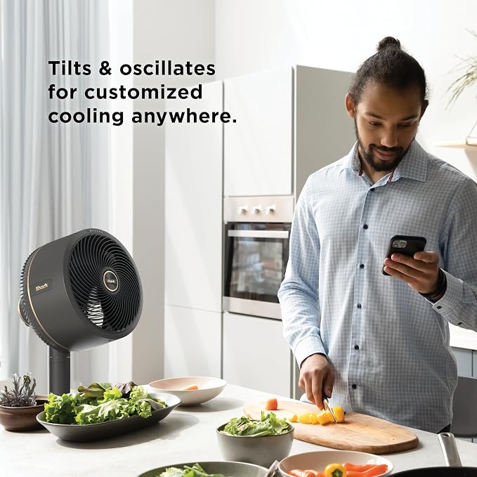 FlexBreeze Fan - Indoor & outdoor oscillating fan, pedestal & tabletop, corded & cordless portable fan with outdoor InstaCool