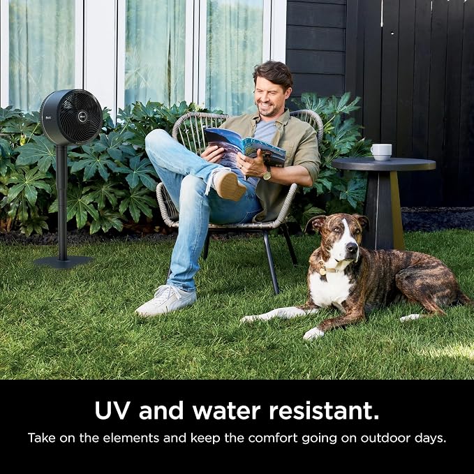 FlexBreeze Pedestal & Tabletop, Indoor & Outdoor, Portable, Oscillating Fan with Remote, Quiet, Powerful, Corded & Cordless