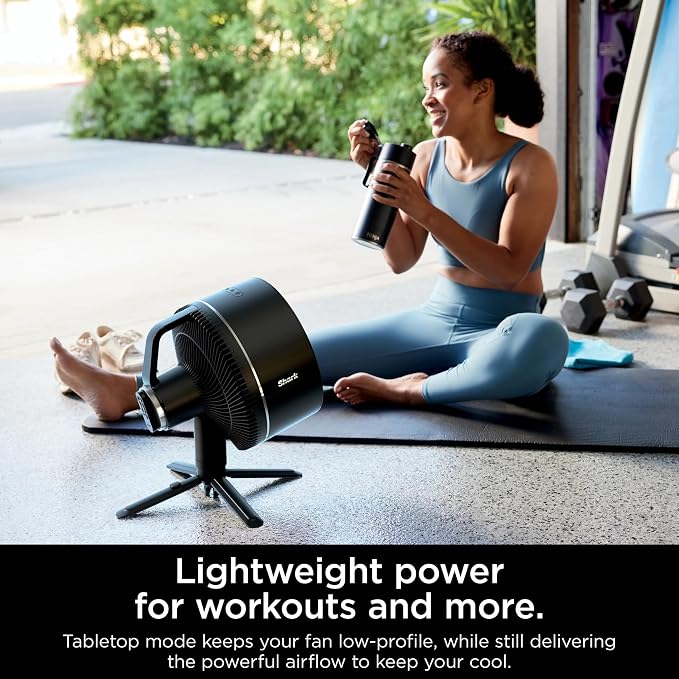 FlexBreeze Pedestal & Tabletop, Indoor & Outdoor, Portable, Oscillating Fan with Remote, Quiet, Powerful, Corded & Cordless