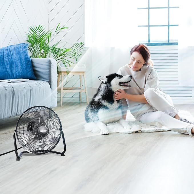 Floor Fan 9 Inch, 3-Speed Portable Metal Fan with Adjustable Tilt, Quiet Small Cradle Floor Fan for Home, Office, Bedroom
