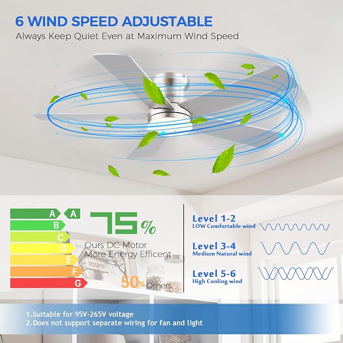 Flush Mount Low Profile Ceiling Fans with Lights - Modern Ceiling Fan with LED Dimming, Timer, 6Wind Speeds, Indoor Fan Light