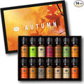 Fragrance Oil Autumn Set of 14 Fragrance Oils for Candle Making, Soap Making, Home Diffuser Oil, product image