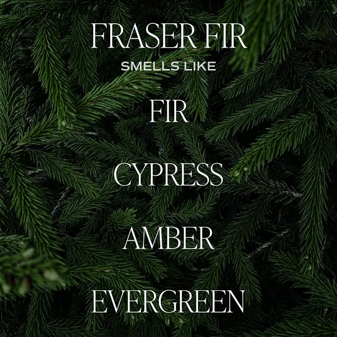 Fraser Fir Candle - Evergreen, Cedar, Winter Holiday Scented Soy Christmas Candles for Home, alternate product view 5