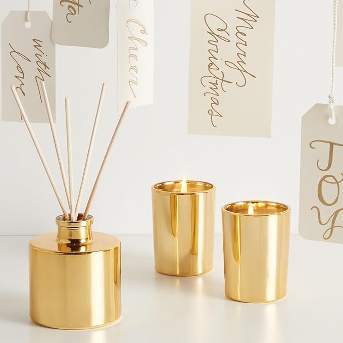 Frasier Fir Reed Diffuser Set – Includes Reeds, Fragrance Oil, and Frosted Glass Bottle – Fragrance Oil Diffuser – Room