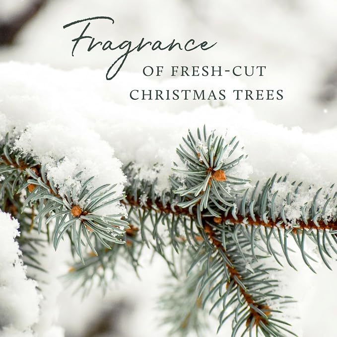 Frasier Fir Reed Diffuser Set – Includes Reeds, Fragrance Oil, and Frosted Glass Bottle – Fragrance Oil Diffuser – Room