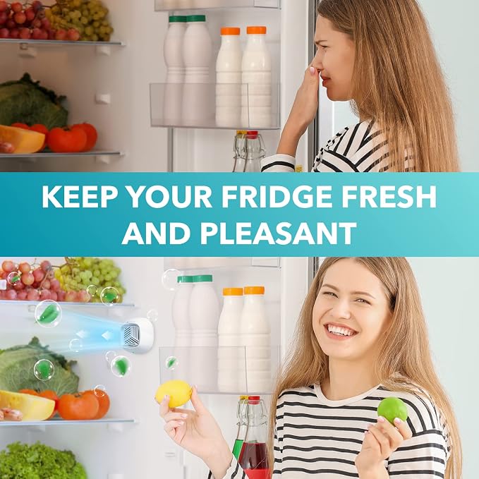 Fridge Deodorizer - Rechargeable Mini USB Refrigerator Deodorizer | Electric Fridge Odor Eliminator Absorber with Charcoal
