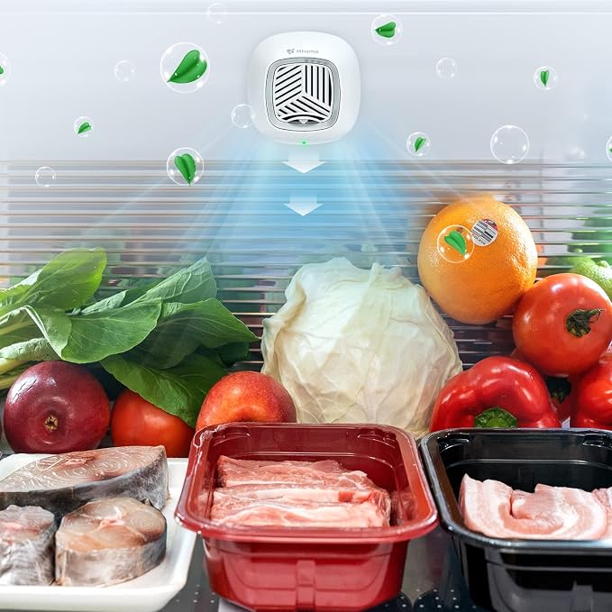Fridge Deodorizer - Rechargeable Mini USB Refrigerator Deodorizer | Electric Fridge Odor Eliminator Absorber with Charcoal