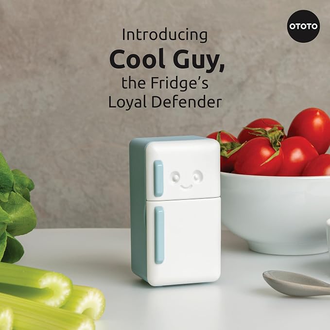 Fridge Deodorizer - Refrigerator Deodorizer, Baking Soda Odor Absorber, Cute Kitchen Accessories, Baking Soda Container