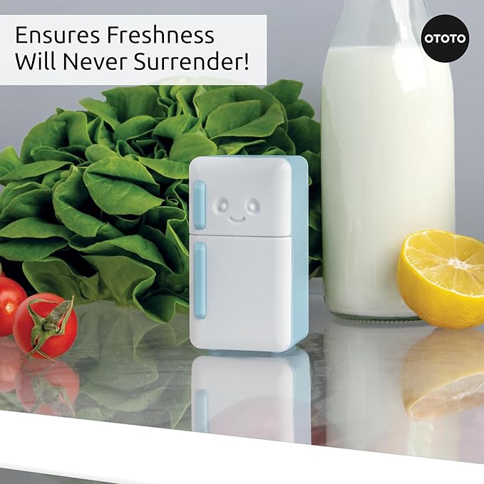Fridge Deodorizer - Refrigerator Deodorizer, Baking Soda Odor Absorber, Cute Kitchen Accessories, Baking Soda Container