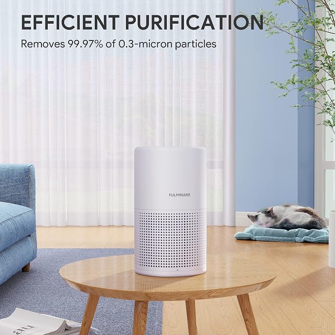 FULMINARE Air Purifiers for Bedroom H13 True HEPA Air Filter Quiet Air Cleaner With Night Light Portable Small Air Purifier