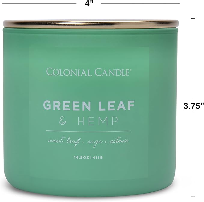 Green Leaf & Hemp Scented Jar Candle, Pop of Color Collection, 3 Wick, Green, 14.5 oz - Up to 60 Hours Burn, alternate