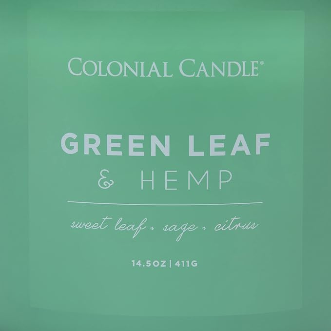 Green Leaf & Hemp Scented Jar Candle, Pop of Color Collection, 3 Wick, Green, 14.5 oz - Up to 60 Hours Burn, alternate