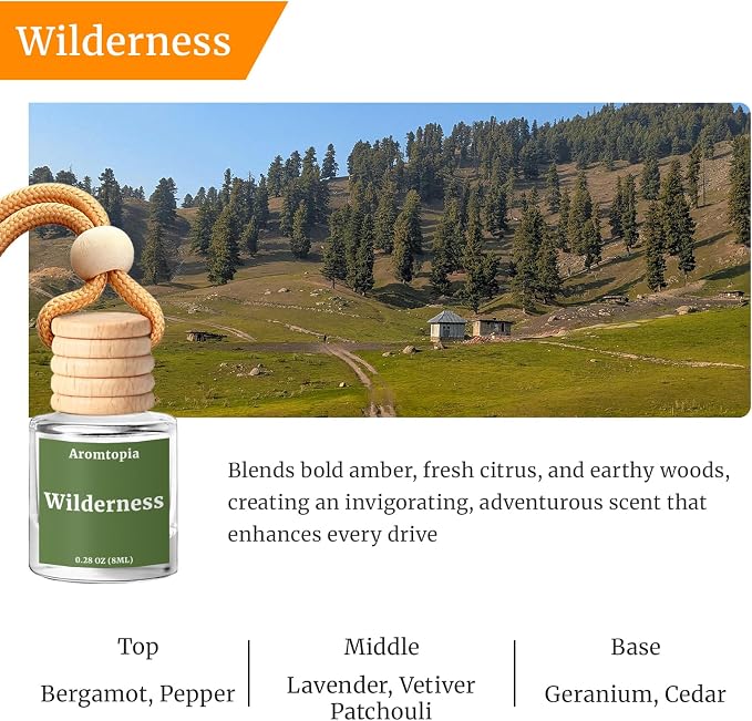 Hanging Car Air Freshener - Aromtopia Woody Scent Car Fragrance Diffusers - Car Odor Eliminator - Long Lasting Scent - Auto