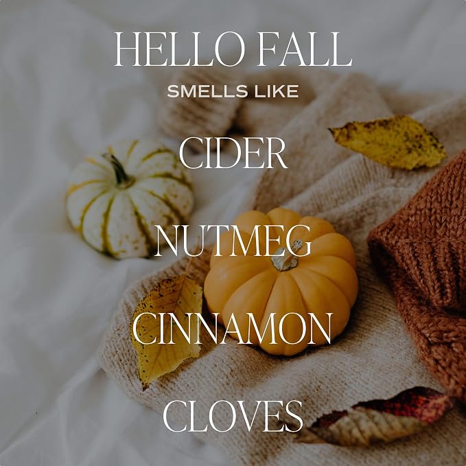 Hello Fall Reed Diffuser Set - Hot Cider, Cinnamon, Cloves, Apple, and Nutmeg Fall Scented Diffuser, alternate product view 2