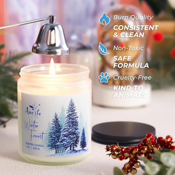 Hello Winter Candle | Fresh Citrus & Jasmine Scented Soy Candles - Winter Aromatherapy Candles Gift for Women & Men, Cozy
