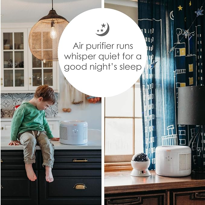 HEPA Air Purifier, Air Purifiers for Home, Quiet Air Purifier HEPA Filter, Home Air Purifiers, Air Purifier For Pets, Office
