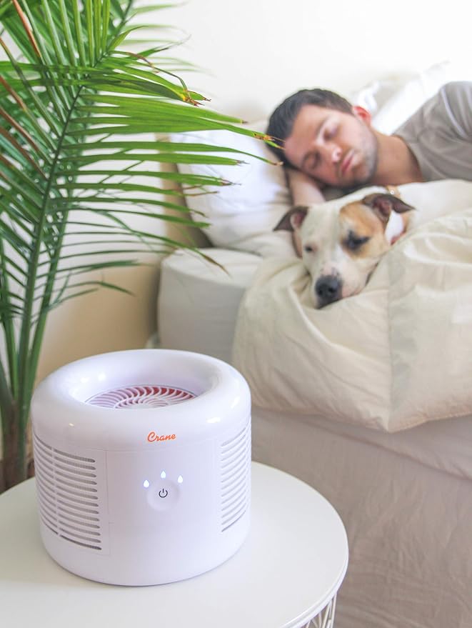 HEPA Air Purifier, Air Purifiers for Home, Quiet Air Purifier HEPA Filter, Home Air Purifiers, Air Purifier For Pets, Office