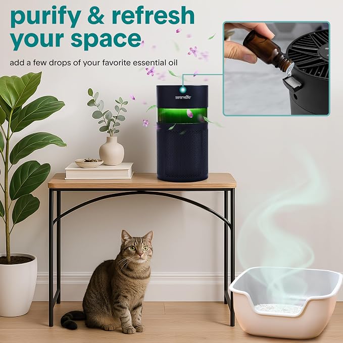 HEPA Air Purifier for Home, Compact Quiet Air Purifier with Filter Replacement Alert, Touch Controls, Aroma Box, 2 Fan Speeds