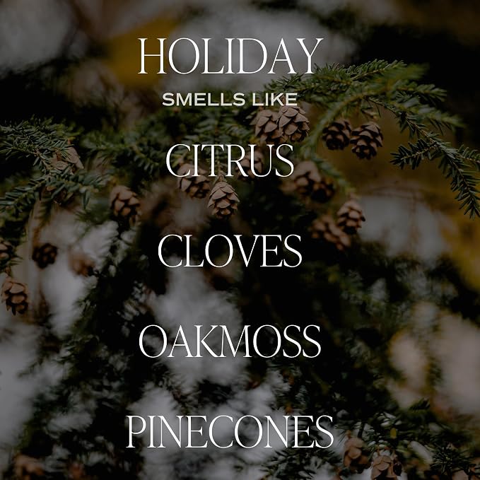 Holiday Soy Candle - Citrus, Cloves, Black Dahlia Petals, Pine Cones and Oakmoss Holiday Scented, alternate product view 4