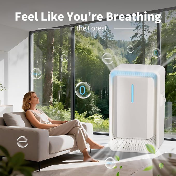 Home Negative Ion Air Purifier 6 Pack, Plug In Air Purifier & Mini Portable Silent Air Freshener for Dust Mites in Bedroom