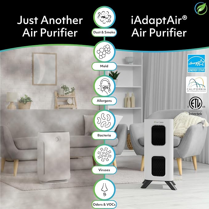 iAdaptAir 2.0 H13 HEPA Filter Air Purifier Reduces 99% of Viruses, Mold, Dust, Smoke, alternate product view 2