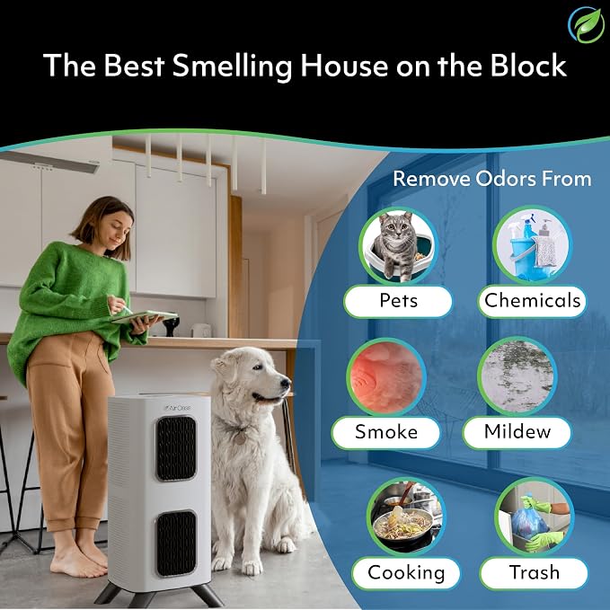 iAdaptAir 2.0 H13 HEPA Filter Air Purifier Reduces 99% of Viruses, Mold, Dust, Smoke, alternate product view 6