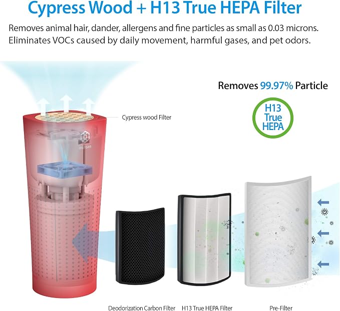 IMUNSEN M-003R True HEPA 13 Filter Air Purifier for Car, Desk, and Office with Carbon Deodorization Filter, 4-Stage