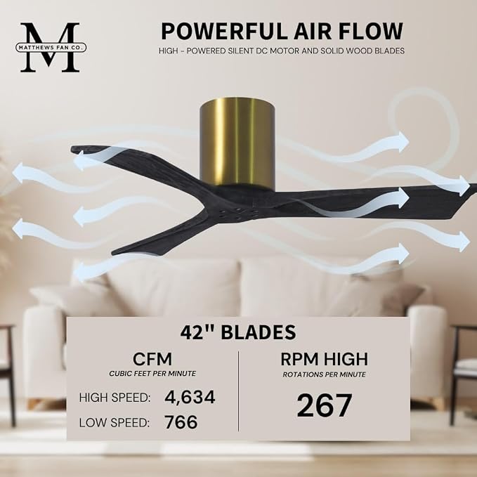 IR3H-BRBR-BK-42 Irene Damp Rated Flush Mount 42" Ceiling Fan with Remote & Wall Control, Silent DC Motor, 3 Matte Black Solid