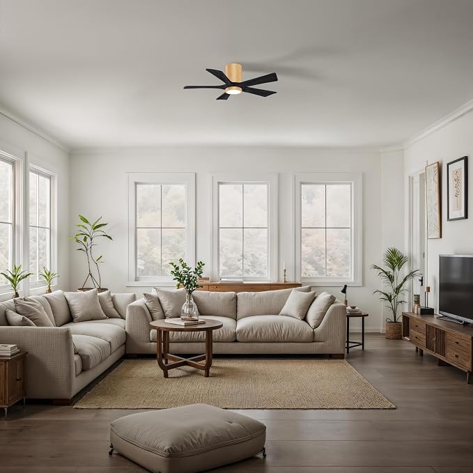 IR5HLK-LM-BK-42 Irene 42" Damp Rated Flush Mount Ceiling Fan with Light and Remote & Wall Control, Silent DC Motor, Light