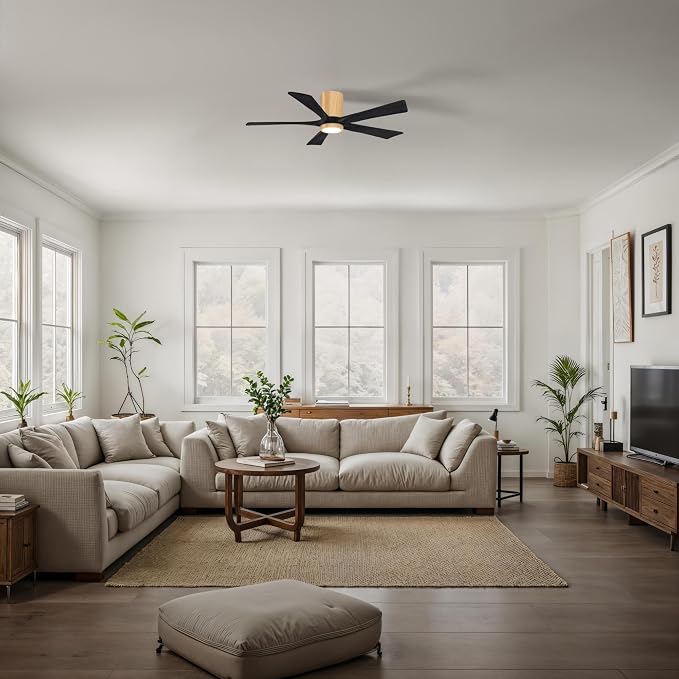 IR5HLK-LM-BK-52 Irene 52" Damp Rated Flush Mount Ceiling Fan with Light and Remote & Wall Control, Silent DC Motor, Light