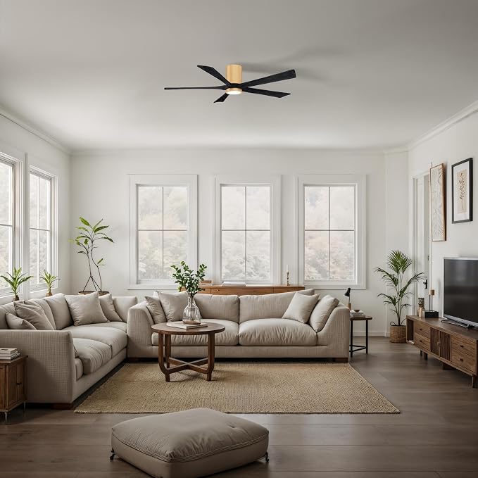 IR5HLK-LM-BK-60 Irene 60" Damp Rated Flush Mount Ceiling Fan with Light and Remote & Wall Control, Silent DC Motor, Light