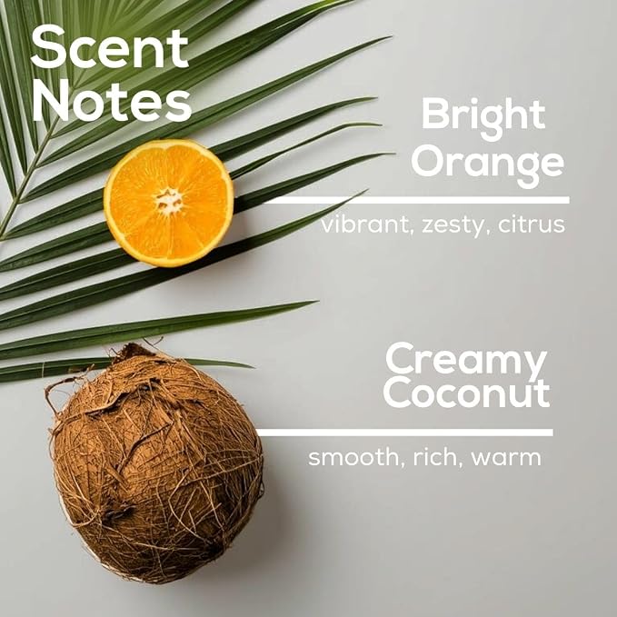 Island Essence Plug in Air Freshener, Scented Oil Refills, 2 Refills + Diffuser, alternate product view 4