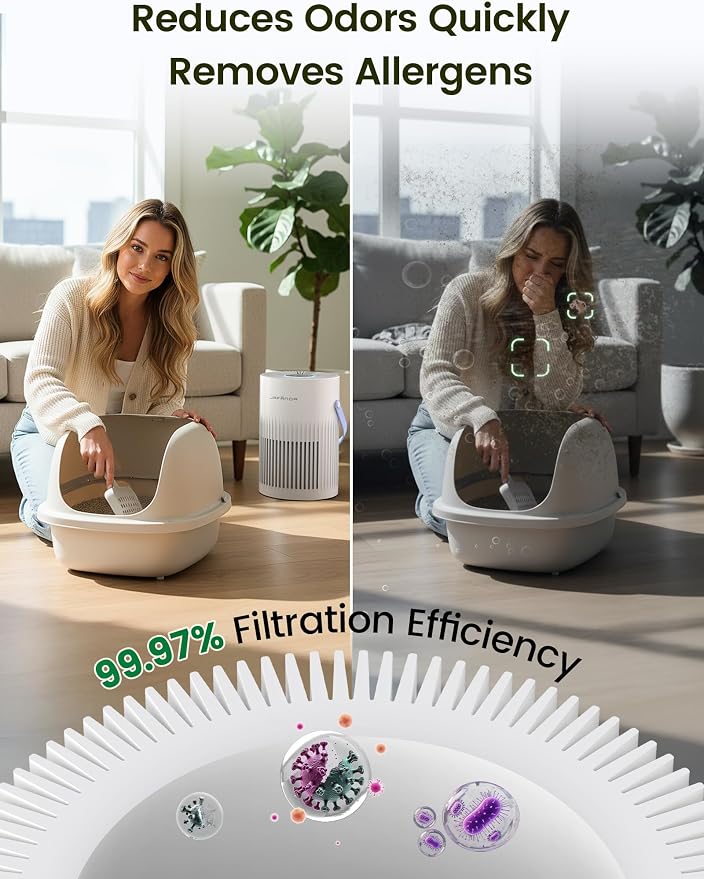 Air Purifers for Home, Hepa Air Purifier for Bedroom, Air Cleaner for Pet Dander, Quiet Sleep Mode, alternate product