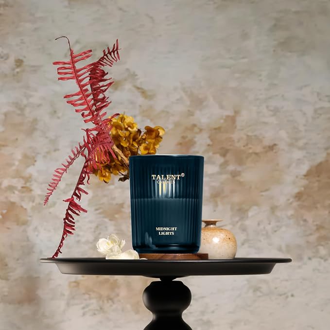 Jar Candles for Home Scented, Aromatherapy Candles Gifts for Women & Men, Natural Soy Candle, 8.4oz Traditional Style