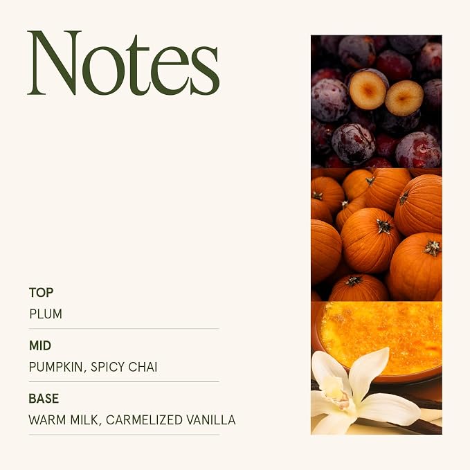 Pumpkin Chai Candle – Pumpkin, Spicy Chai & Vanilla Scent | 19 oz Large Wooden Wick| Natural Soy Wax | 90