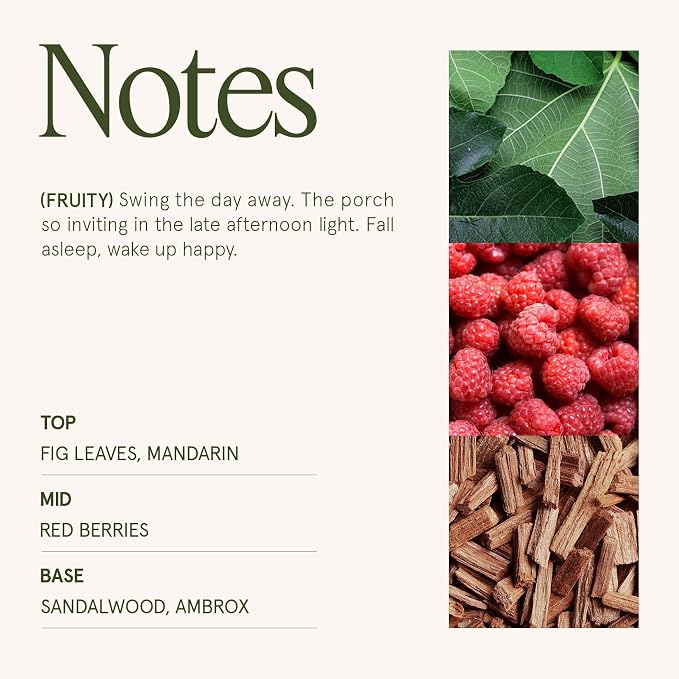 Sylvan Figue Candle | Fig Leaf, Red Berries, Sandalwood | 19 oz Large Wooden Wick Candle | Natural Soy Wax