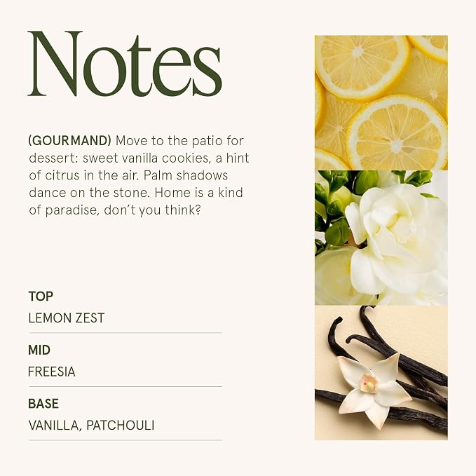 Vanilla Bomb Candle – Lemon Zest, Fressia & Patchouli | 12 oz Large 2-Wick Soy Wax Candle | 60 Hours Clean