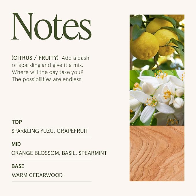 Yuzu & Neroli Blossom Candle - Yuzu, Orange Blossom, Cedarwood | 12 oz Large 2-Wick Soy Wax Candle | 60