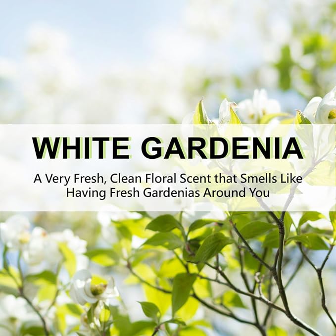 Large 12 Packs White Gardenia Hanging Closet Deodorizer Air Freshener Long Lasting Scented Sachets Smell Goods for House