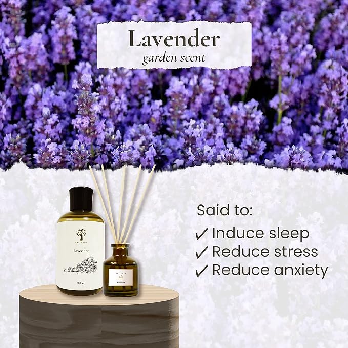 Lavender Dream Reed Diffuser for Home | Fresh Lavender & Eucalyptus Room Fragrance Reed Diffusers, alternate product view 3