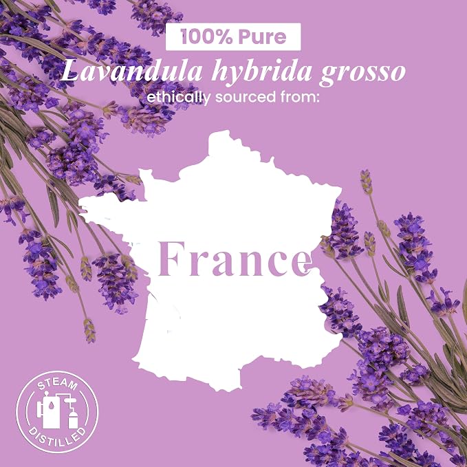 Lavender Essential Oil – 1 Fl Oz – 100% Pure and Natural – Premium Grade Essential Oil for Diffuser and Aromatherapy