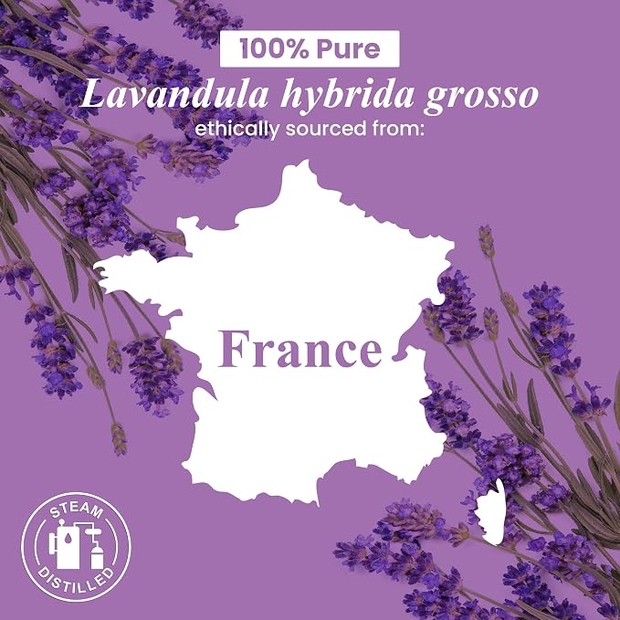 Lavender Essential Oil in Glass Bottle – Huge 16 Fl Oz – 100% Pure and Natural – Premium Grade Oil for Diffuser and