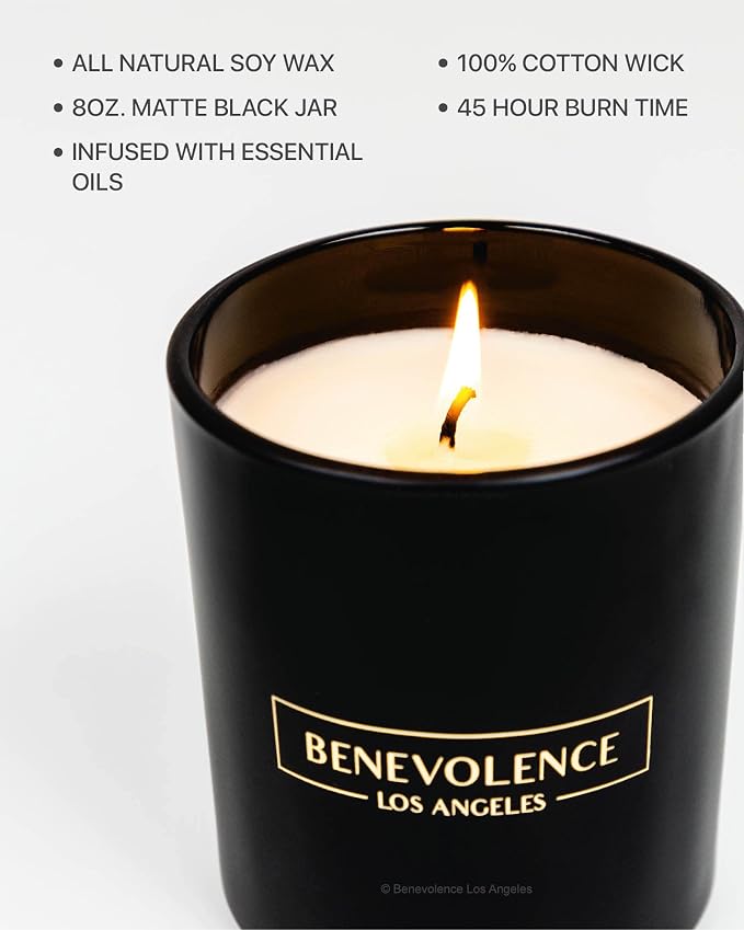 Lavender & Lilac Scented Candle | Soy Christmas Candles, Black Holiday Candle for Home | Gifts for Women and Men | Home