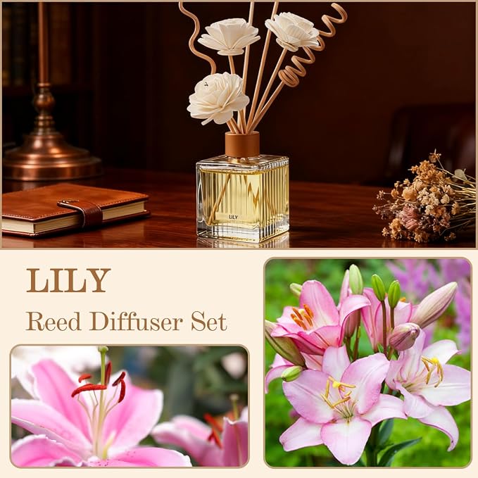 Lily Reed Diffuser Set - 6.7 oz Glass Bottle with 4 Rattan Sticks, 3 Dried Flowers | Adjustable, Long-Lasting Scent for Home
