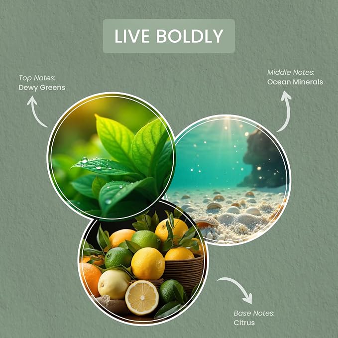 Live Boldly 16 oz Scented Candle, 2 Wick comfort Relaxing Candle, 60H Burn Time, Ideal for Creating a Welcoming Home
