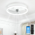 Low Profile Ceiling Fans with Light and Remote, 20in Fandelier Ceiling Fan with Lights, 3000K-6500K Dimmable