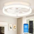 Low Profile Ceiling Fans with Lights and Remote, 20in Flush Mount Ceiling Fans with Light, 3000K-6500K Dimmable Fandelier