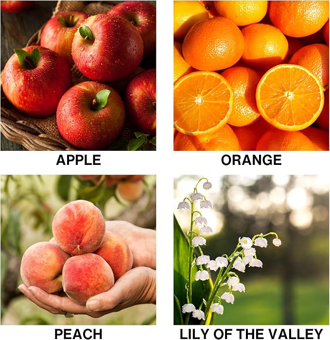 Lush Orchard Aromatherapy Diffuser – Reed Diffusers for Home with Apple, Orange, Long-Lasting Essential Oil Scent – 50ml