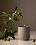 Luxury Candle, Neroli Leaf Scent, 60-Hour Burn Time, Soy Wax Blend, Organic Cotton Wick, Reusable Kiln-Fired Ceramic Vessel