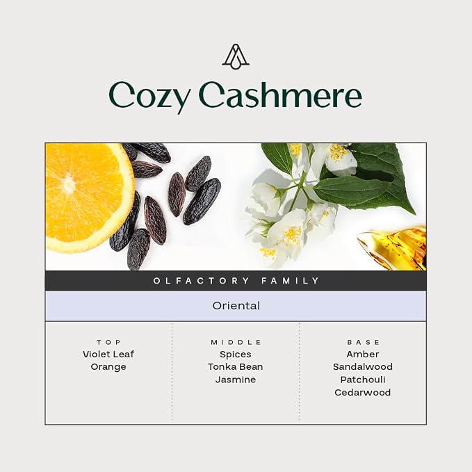 Luxury Reed Diffuser, Cozy Cashmere Scent Diffuser (8.5 fl oz, 250ml)- Natural Reed Diffusers Set, alternate product view 6